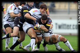 Zebre Ulster Paddy Wallace 